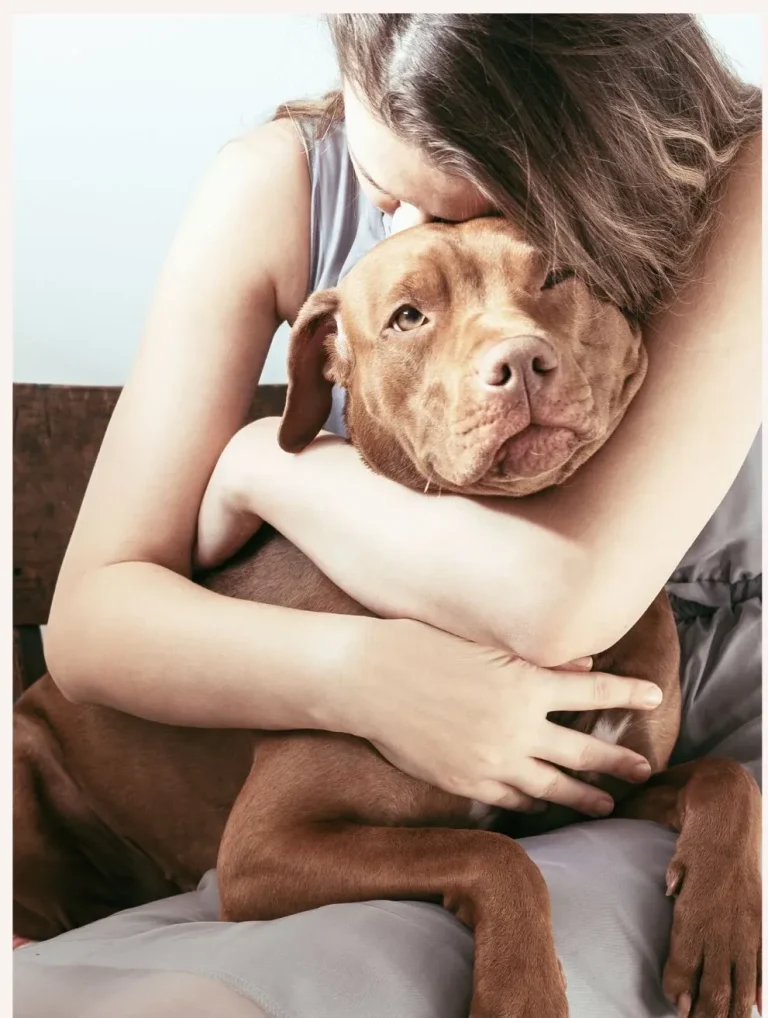 When to Put Your Dog Down: Finding the Right Time to Say Goodbye