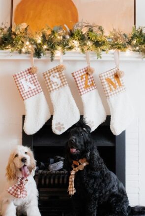 DIY Christmas Gifts for Dogs & Dog Lovers