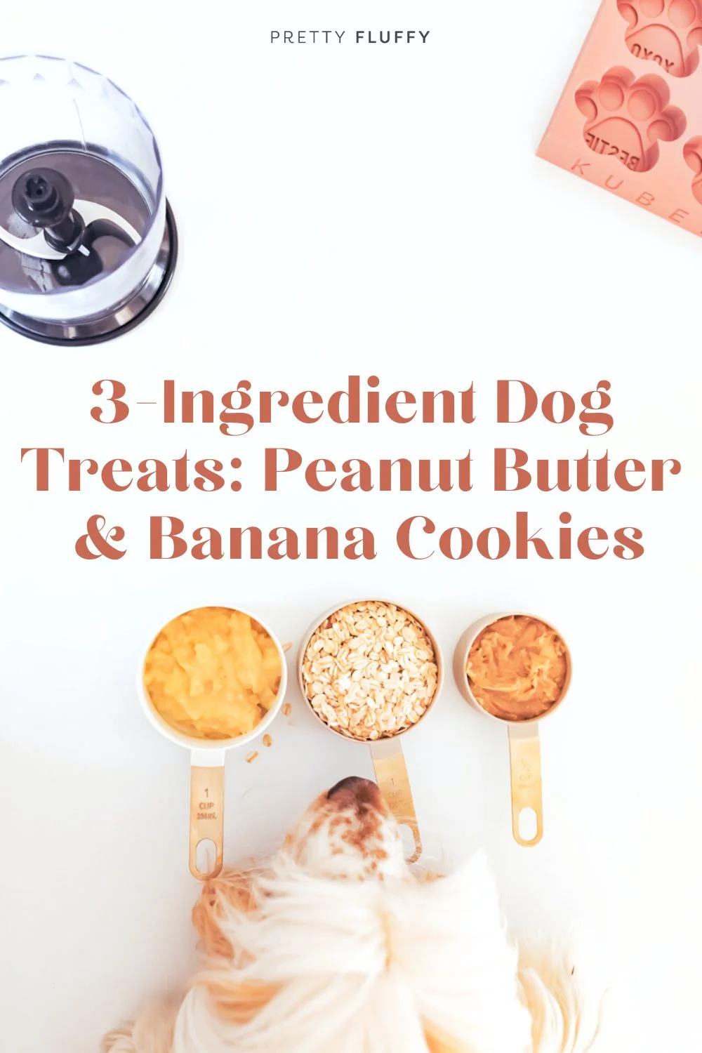 dog sniffing cups of ingredients for 3 ingredient peanut butter and banana dog cookies