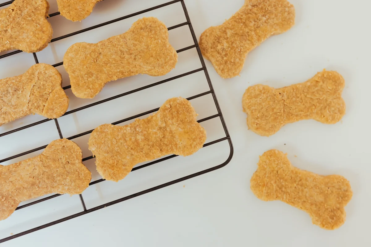 freshly baked homemade peanut butter dog cookies on oven tray
