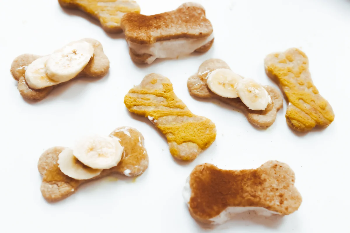 homemade peanut butter dog biscuits decorated different ways