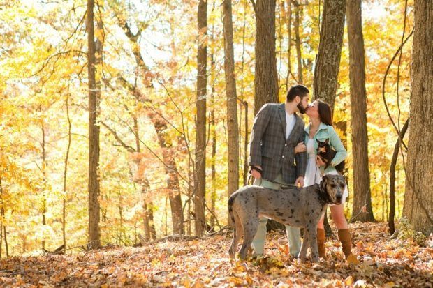 How to Include Your Pet in Your Proposal