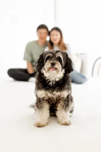 couple looking at dog trying to understand behavior