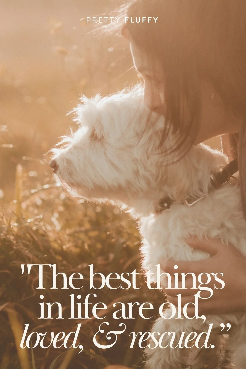 "The best things in life are old, loved and rescued."