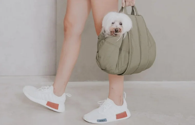 lambwolf dog carrier