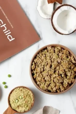 A Guide to Choosing Healthy Dog Food: Everything Dog Owners Need to Know