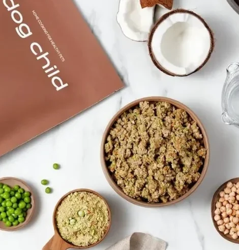 A Guide to Choosing Healthy Dog Food: Everything Dog Owners Need to Know