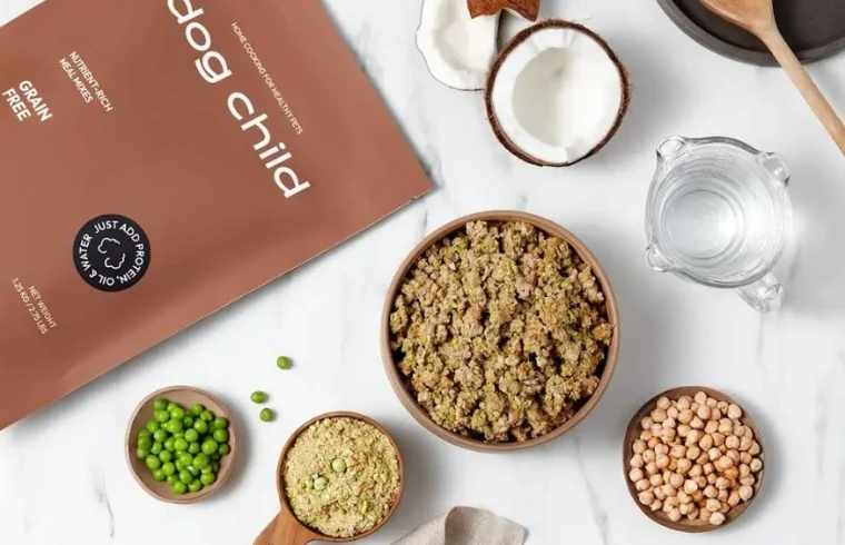 A Guide to Choosing Healthy Dog Food: Everything Dog Owners Need to Know