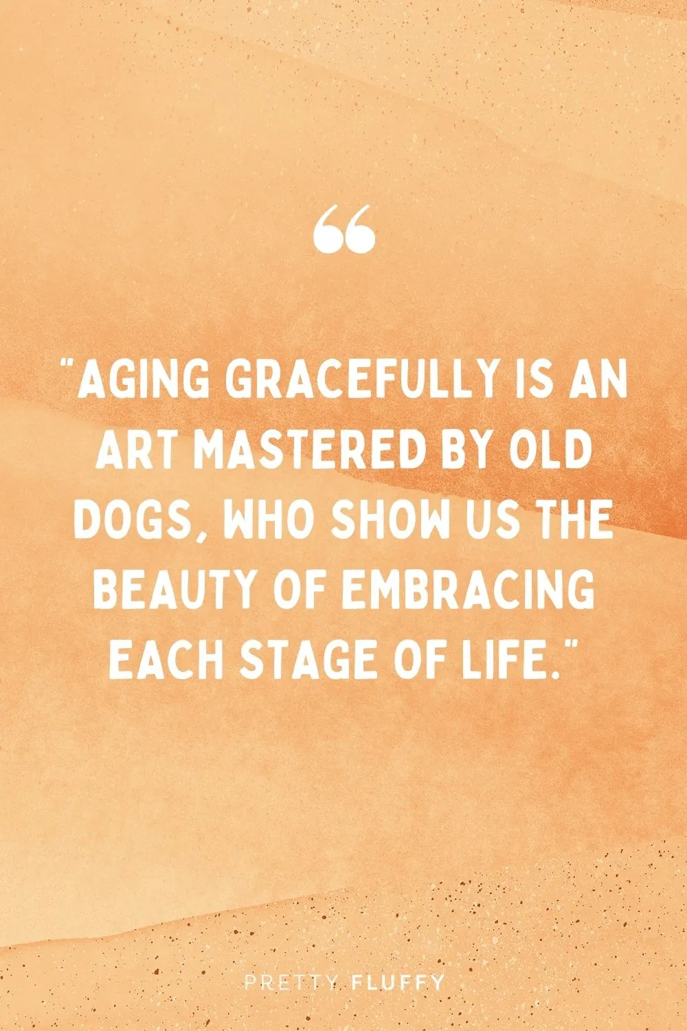Quote about old dogs aging gracefully