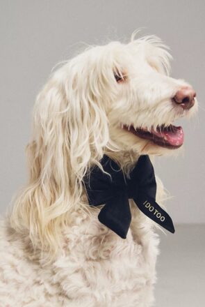 best dog bow ties