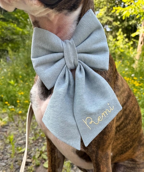 Personalized Denim Dog Sailor Bow by Woofs n Whiskers Co
