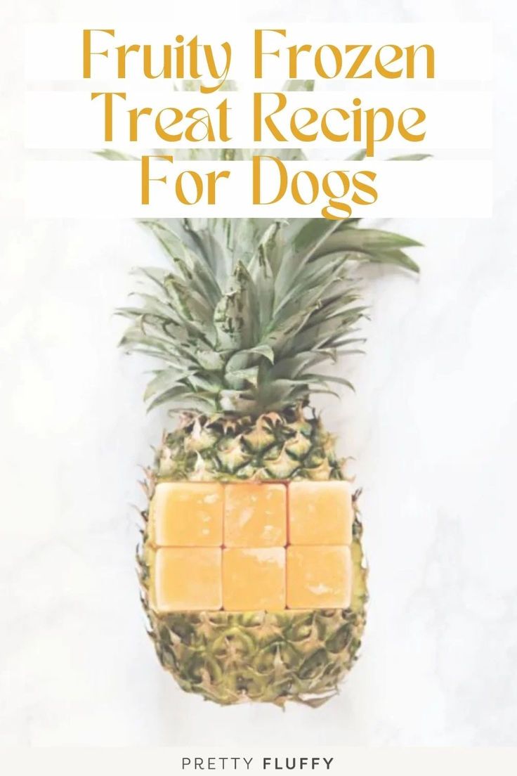 Fruity Frozen Treat Recipe For Dogs: 3 Ingredient 'Tropical Punch'
