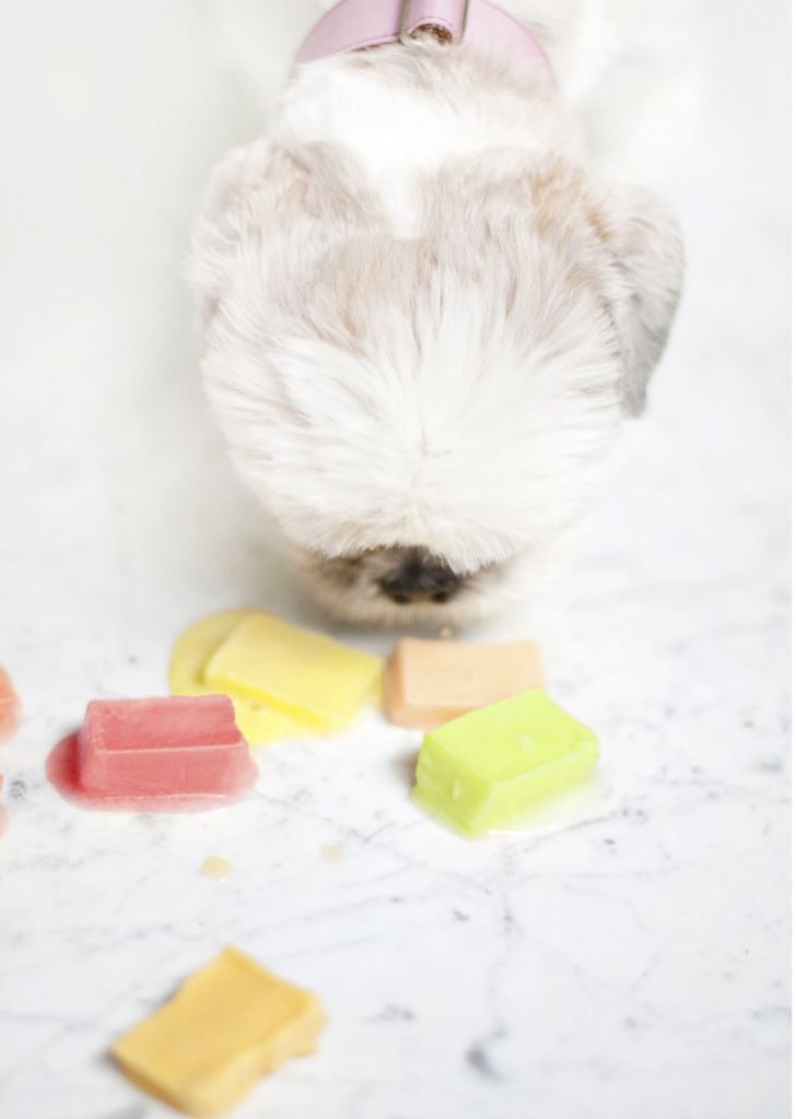 Fruity Frozen Treat Recipe For Dogs: 3 Ingredient 'Tropical Punch'