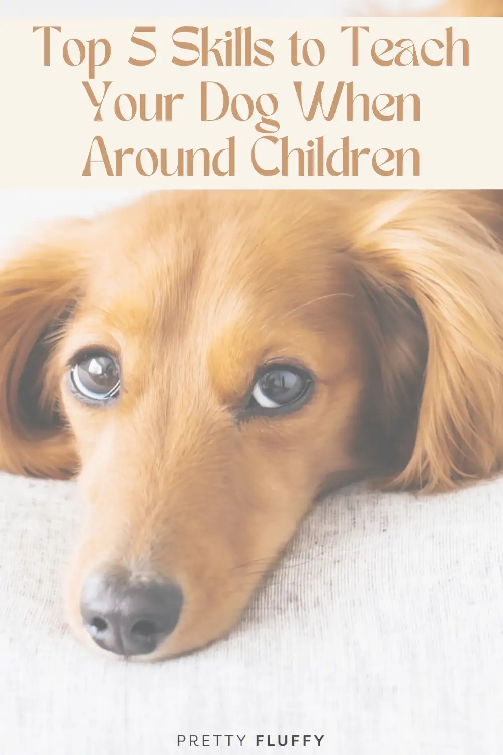 5 Skills to Teach Your Dog When Around Children