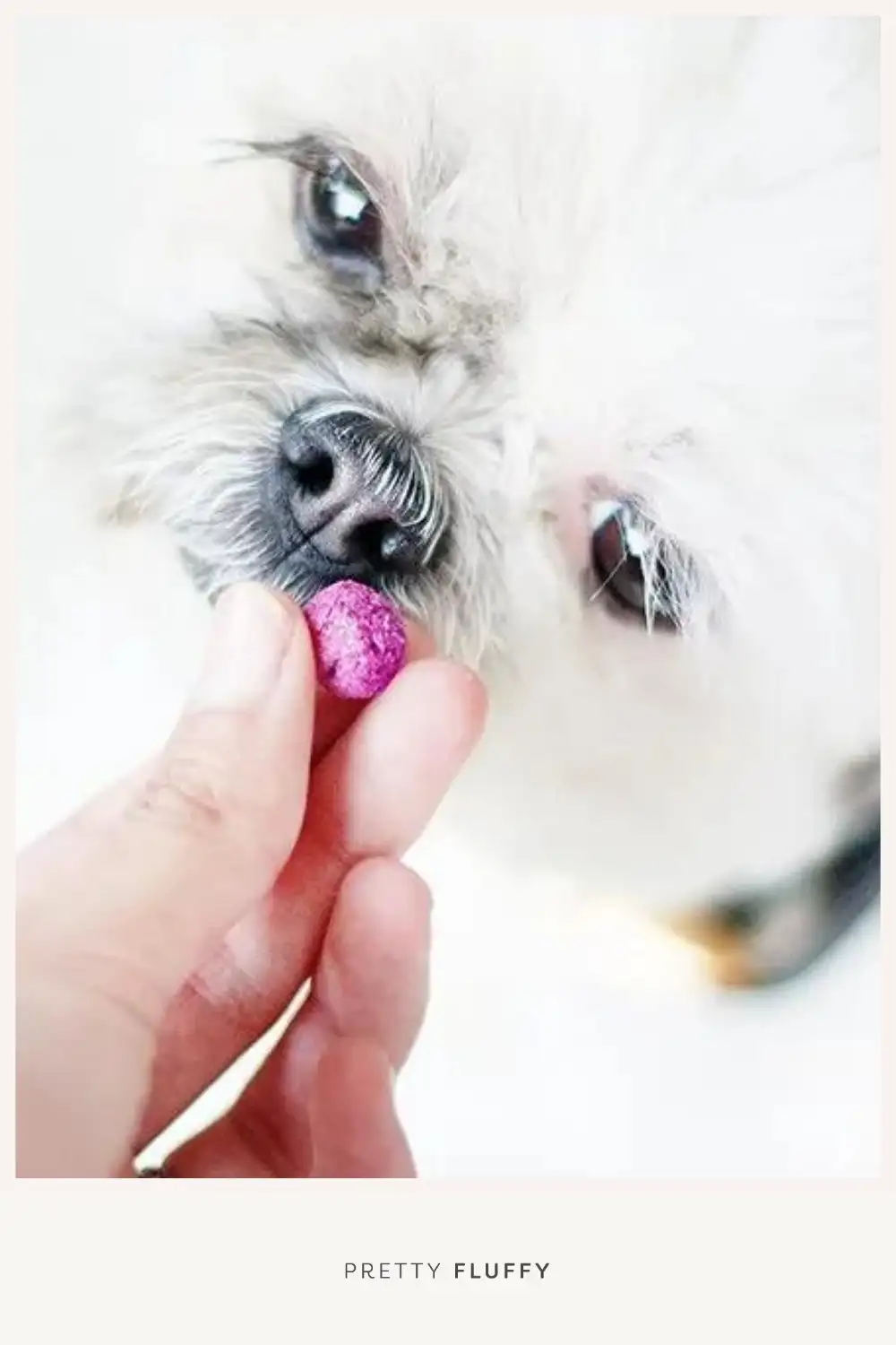 Pink-Banana-&-Beetroot-Dog-Treat-Recipe