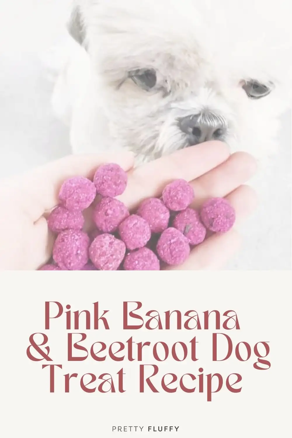 Pink-Banana-&-Beetroot-Dog-Treat-Recipe