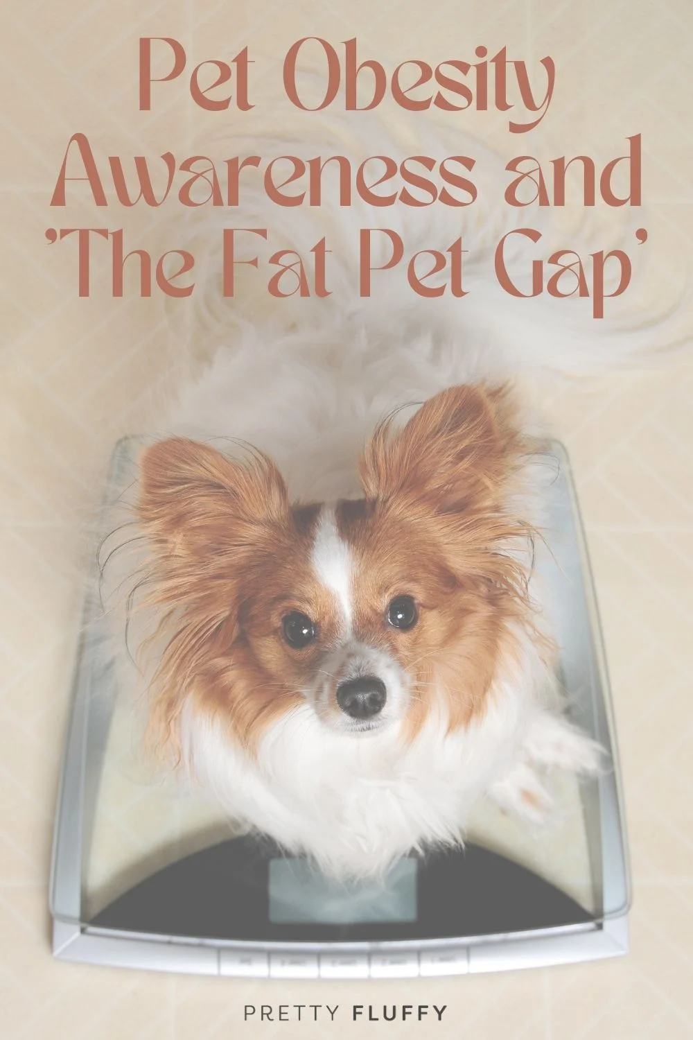 The Pet Obesity Epidemic (2)