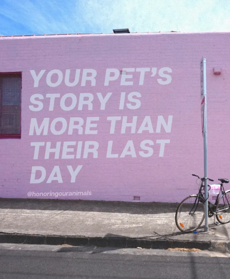 Navigating Pet Loss with Pet Grief Counselor Beth Bigler