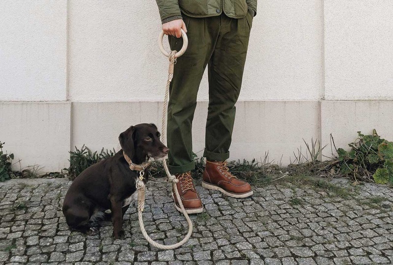 Band & Roll Eco-Friendly Dog Leash