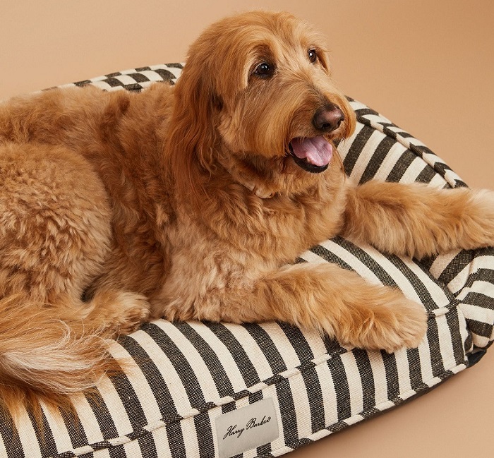 Harry Barker Eco-Friendly Dog Bed