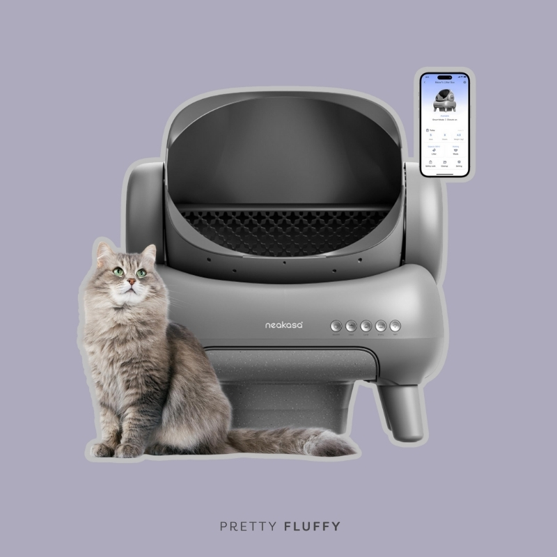 Neakasa M1 Plus Self-Cleaning Cat Litter Box