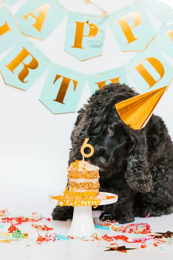 Apple and Carrot dog birthday cake recipe