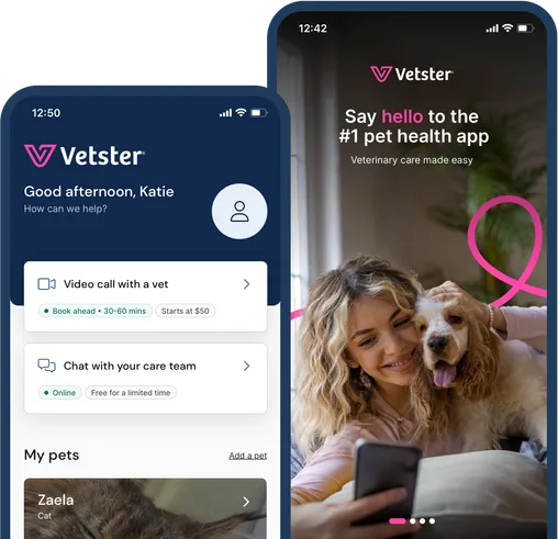 vetster mobile vet app