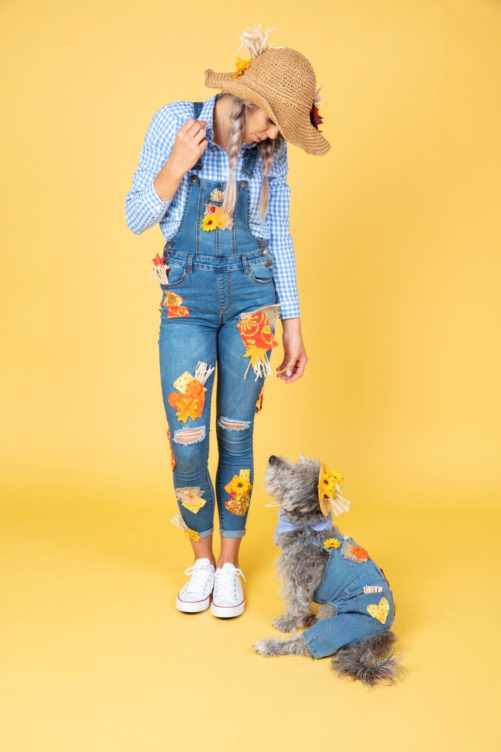 DIY Dog Halloween Costume - Matching Dog & Owner DIY Scarecrow Costumes