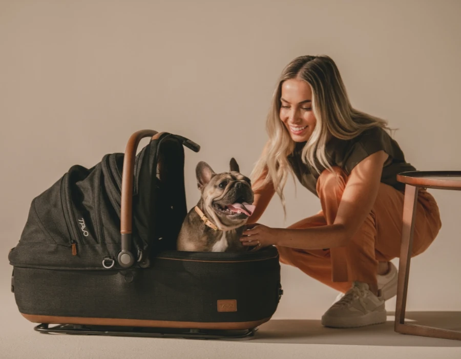 Frenchie sitting in designer pet car seat carrier by Tavo Pets