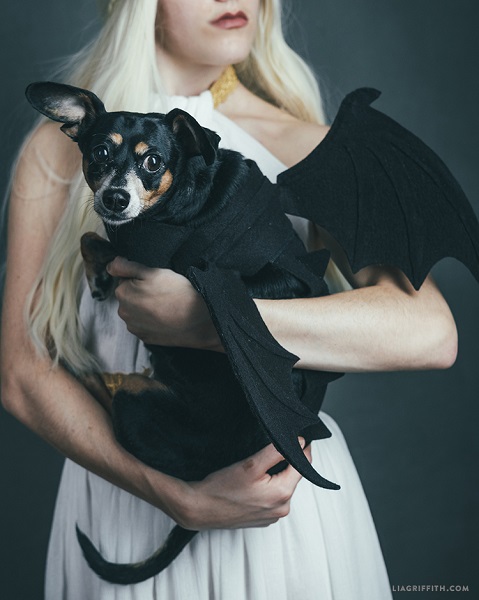 No Sew Bat' or 'Dragon Costume' for Dogs