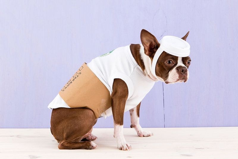 'Latte Dog Costume' by Brit + Co