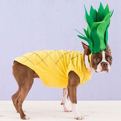 DIY Pineapple Costume by Brit + Co