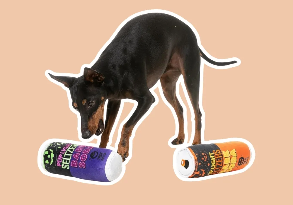 Fuzzyard Pup Light Seltzers Bark Soda Trick Or Treat Halloween