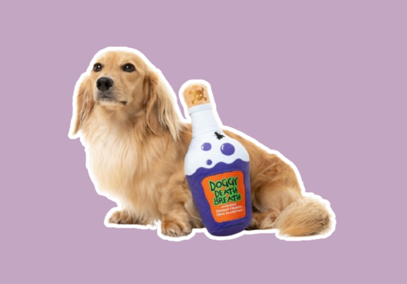 Fuzzyard Halloween Doggy Death Breath Potion Spooky Plush Dog Toy
