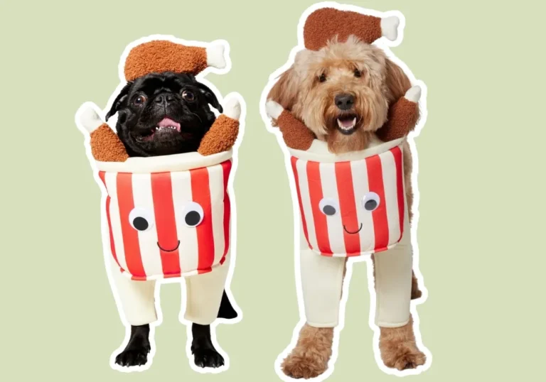34 Scary Good Dog Halloween Costumes