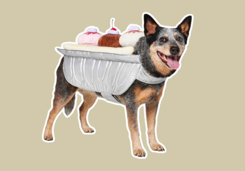 Frisco Banana Split Dessert dog costume