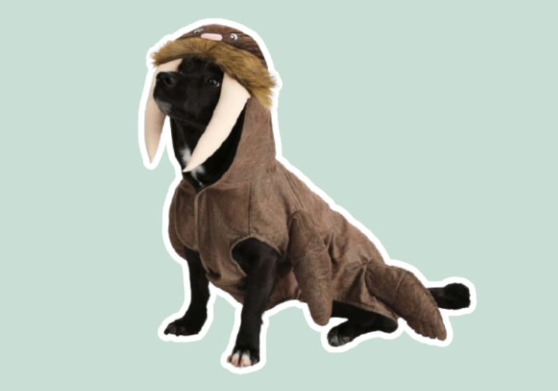 Brown Walrus