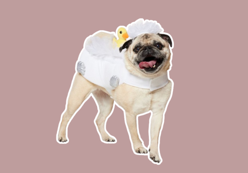 bubble bath rubber duck costume