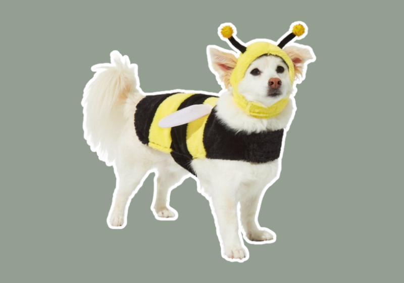 bumble bee costume