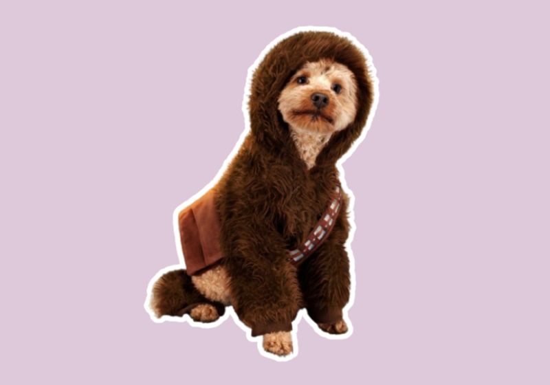 Star Wars Chewbacca dog costume
