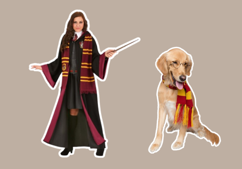 Harry Potter (Owner and Pet Pairing) halloween costume for dog and owner