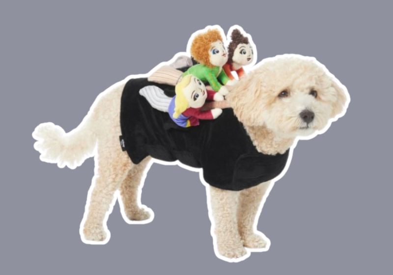 Disney Hocus Pocus Ride-On Sanderson Sisters dog costume