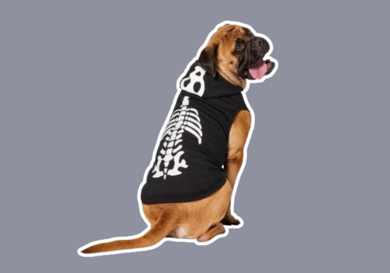 Glow in the Dark Skeleton Dog Hoodie Costume