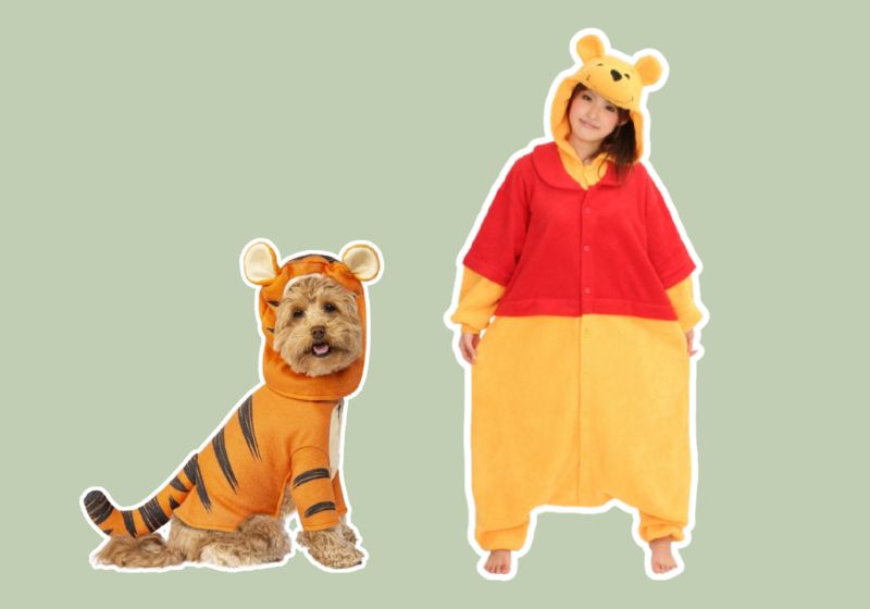 Winnie the Pooh (Owner and Pet Pairing) halloween costume