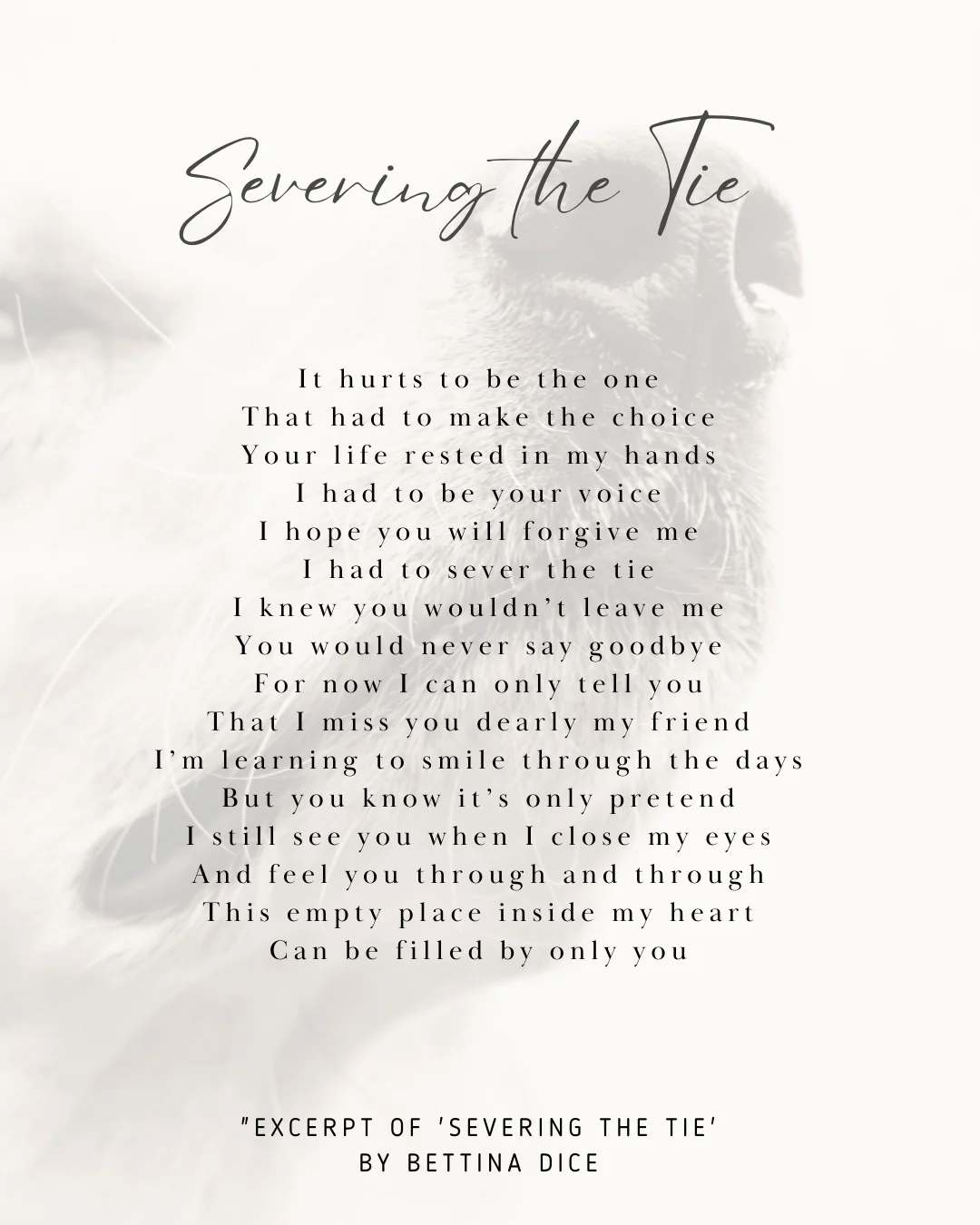'Severing the Tie' a poem about the loss of a dog