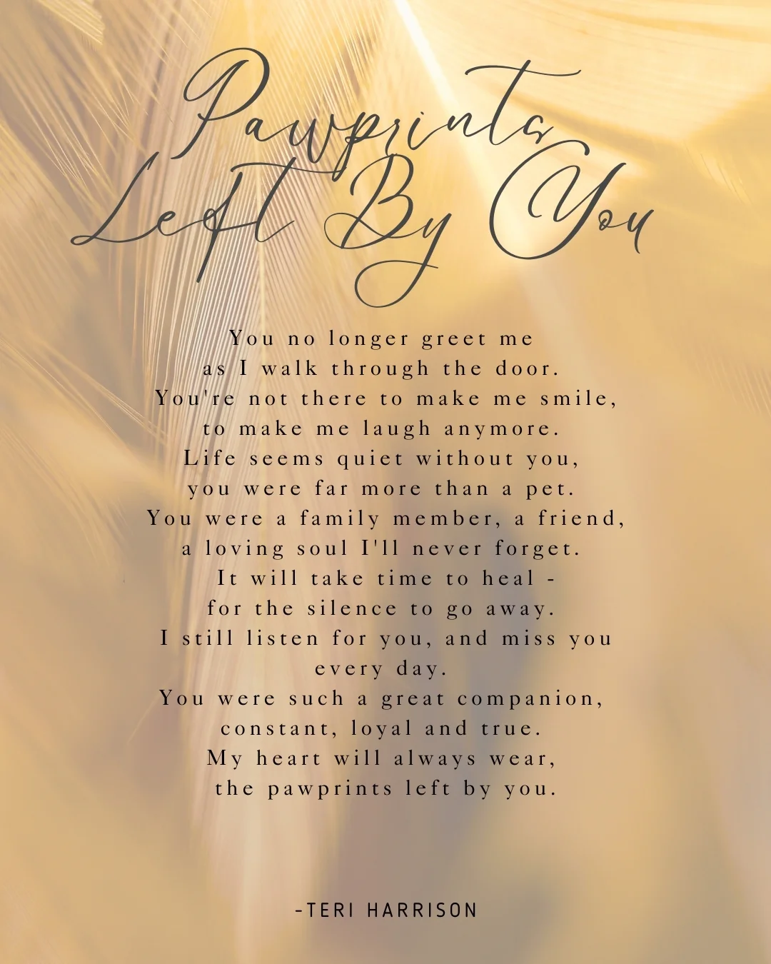 'Pawprints Left By You' - poem about death of a dog