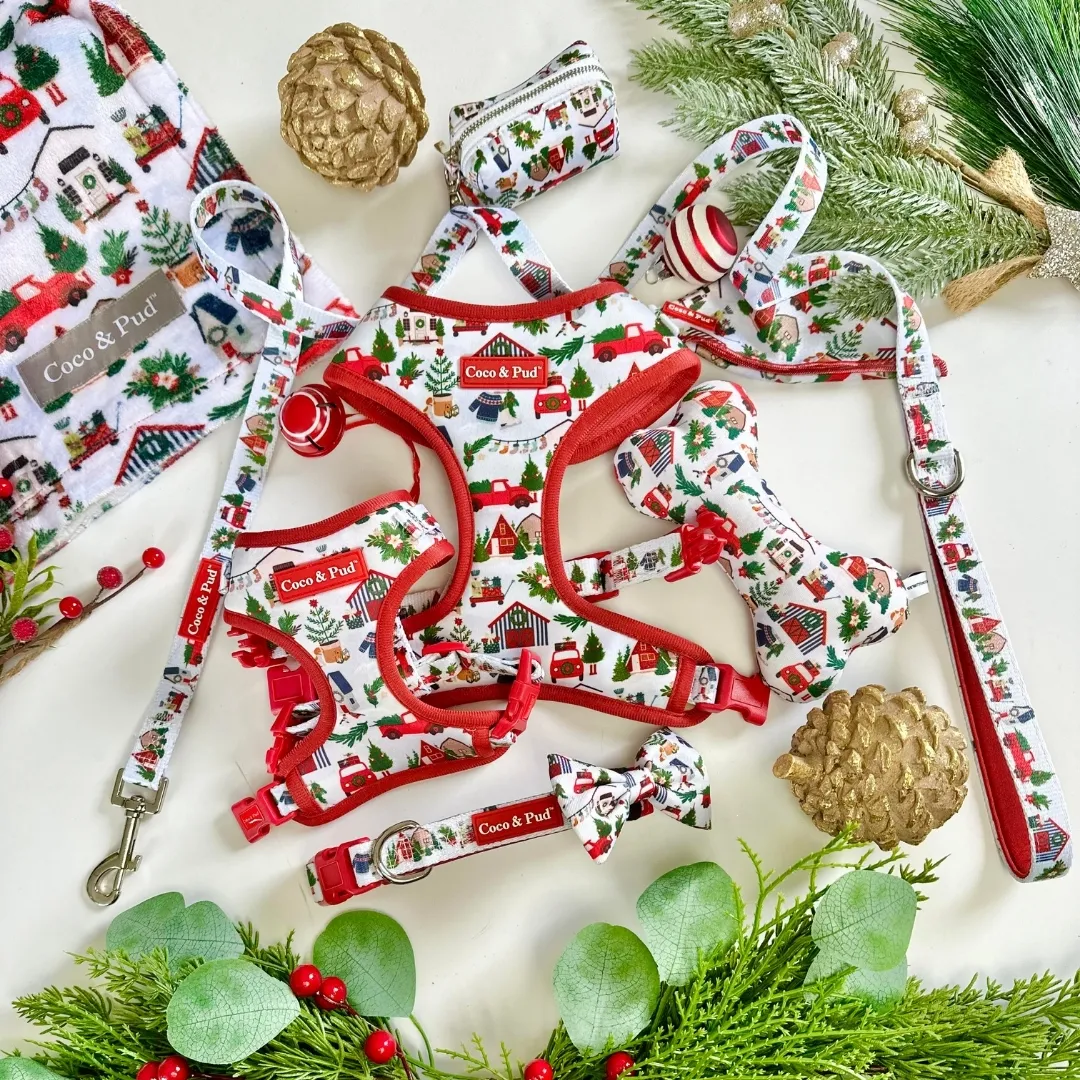 Christmas gift ideas for dogs - Holiday dog accessories collection Coco & Pud