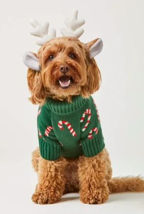 Christmas Gift Guide for Dogs - Best Holiday Gifts For Dogs