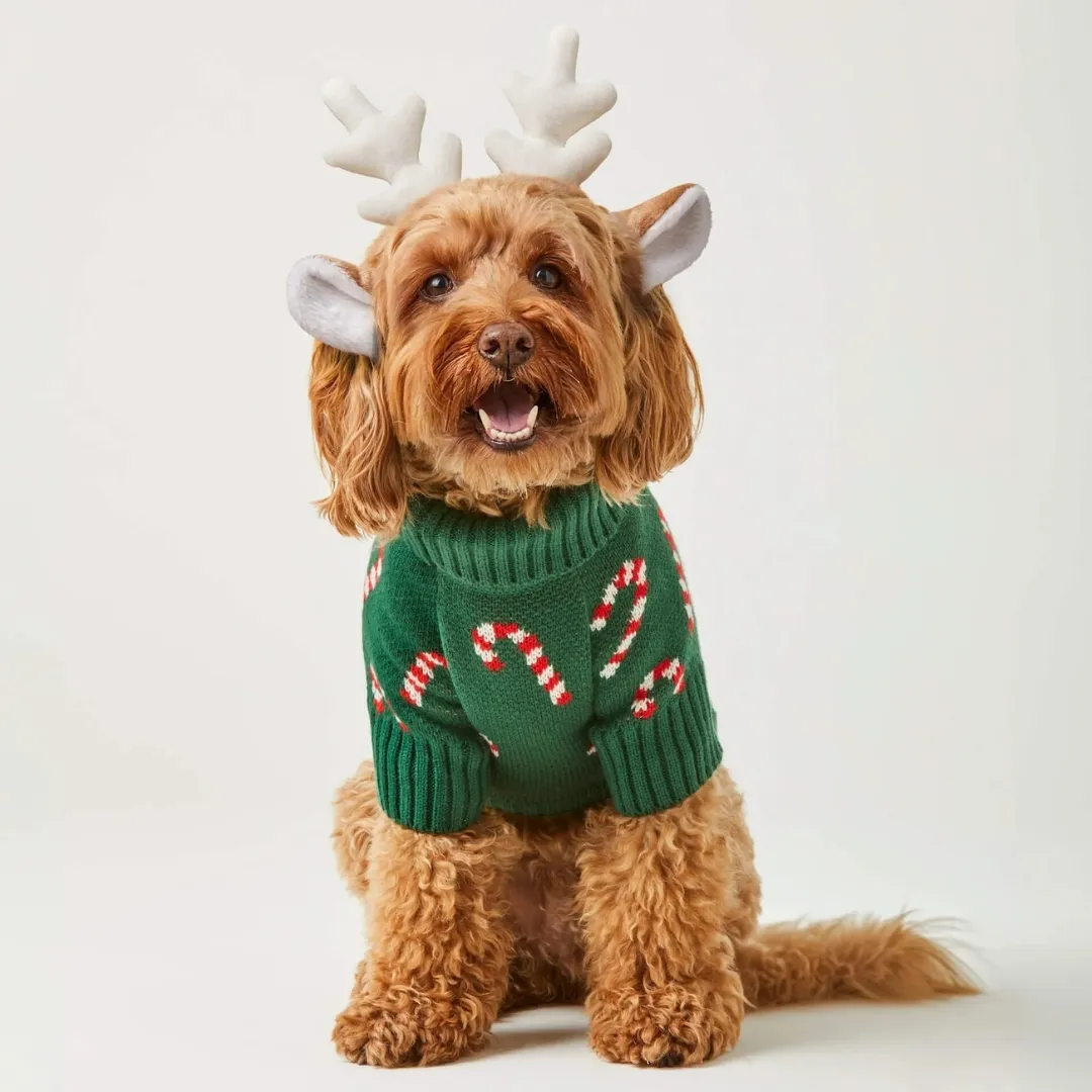 Foggy Dog Candy Canes Dog Sweater_ Christmas Gift Guide for Dogs