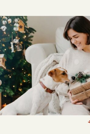 Fun & Unique Gift Ideas for Dog Lovers With Style